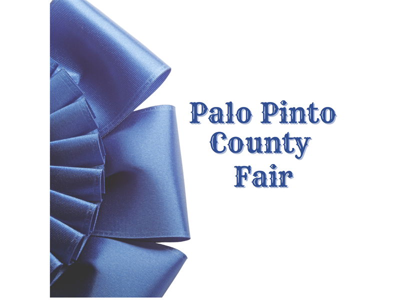 Logo for 2026 Palo Pinto County Fair